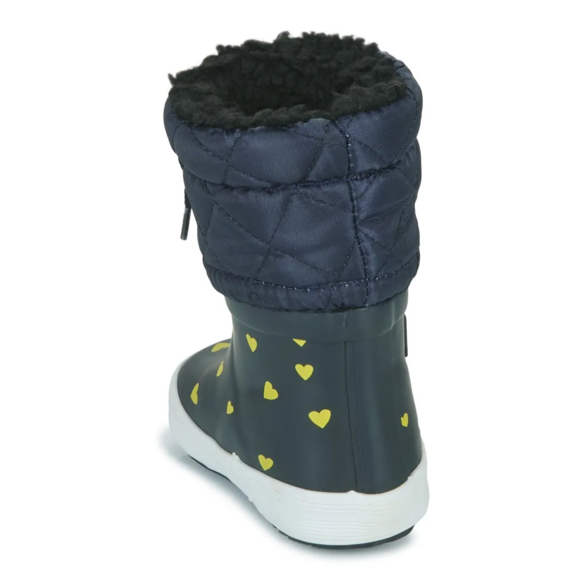 Aigle GIBOULEE