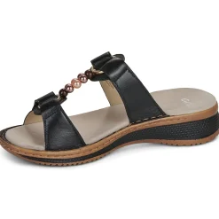 Ara Hawaii 2.0
