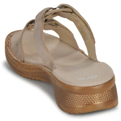 Ara Hawaii 2.0