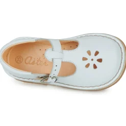 Aster DINGO