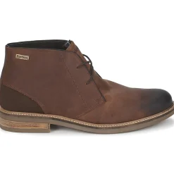 Barbour READHEAD