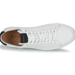 Blackstone RM50
