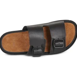 Camper LLC0