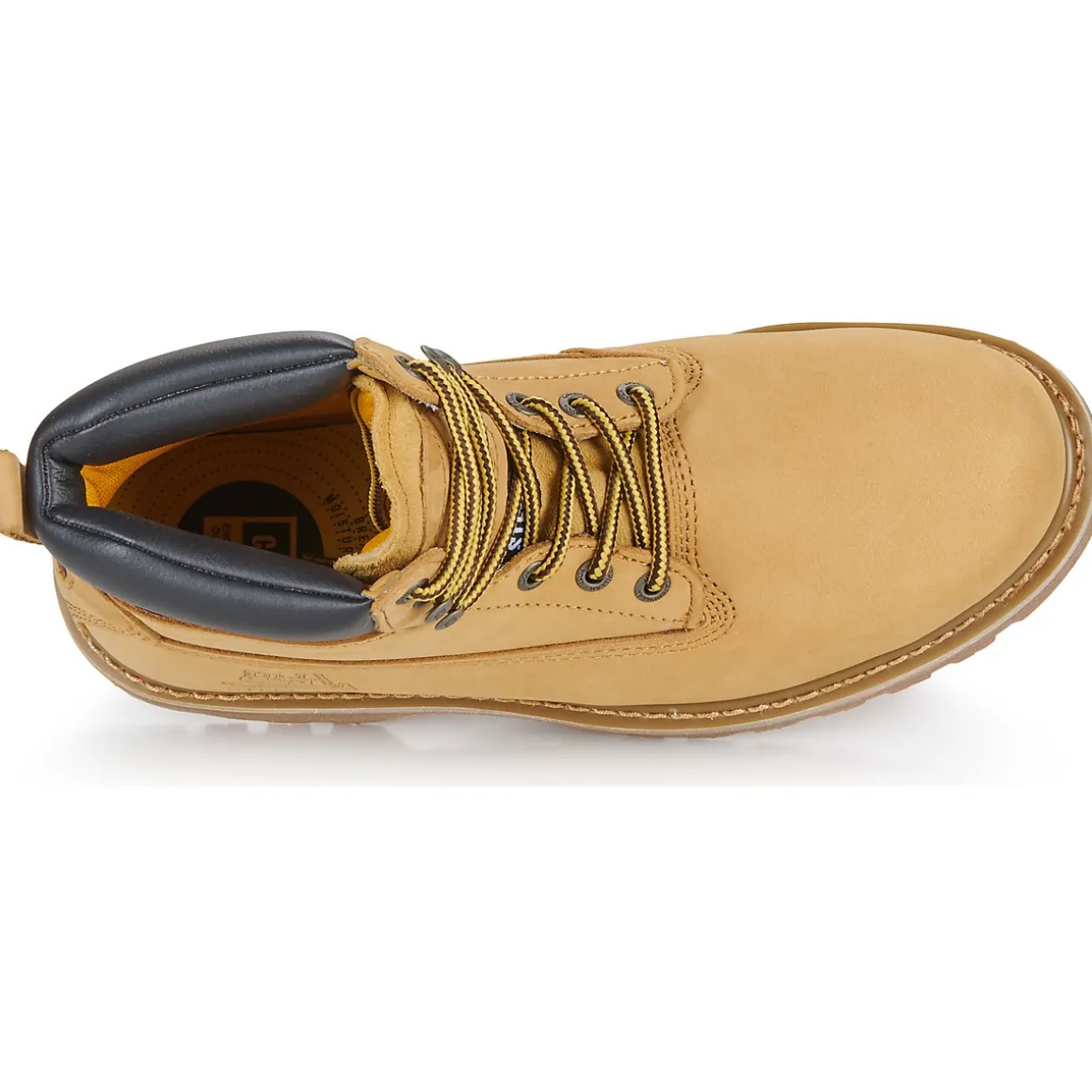 Caterpillar Holton