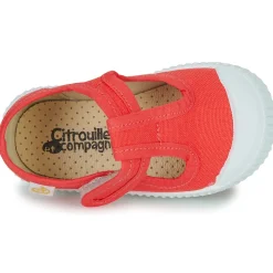 Citrouille et Compagnie ALUNA
