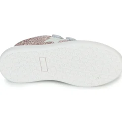 Citrouille et Compagnie ASTINE