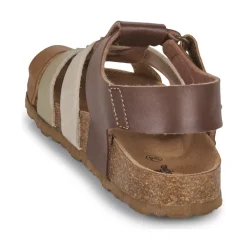 Citrouille et Compagnie BAMBOCHE