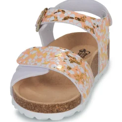 Citrouille et Compagnie CHOMINA