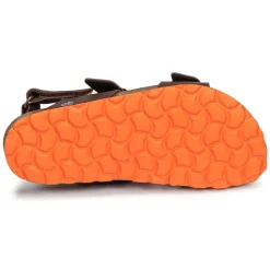Citrouille et Compagnie KELATU