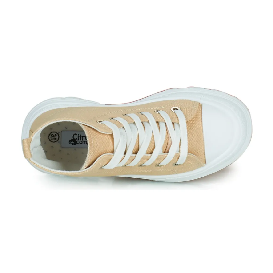 Citrouille et Compagnie MODETTE