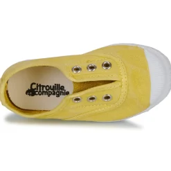 Citrouille et Compagnie WOODEN