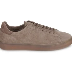 Clae BRADLEY