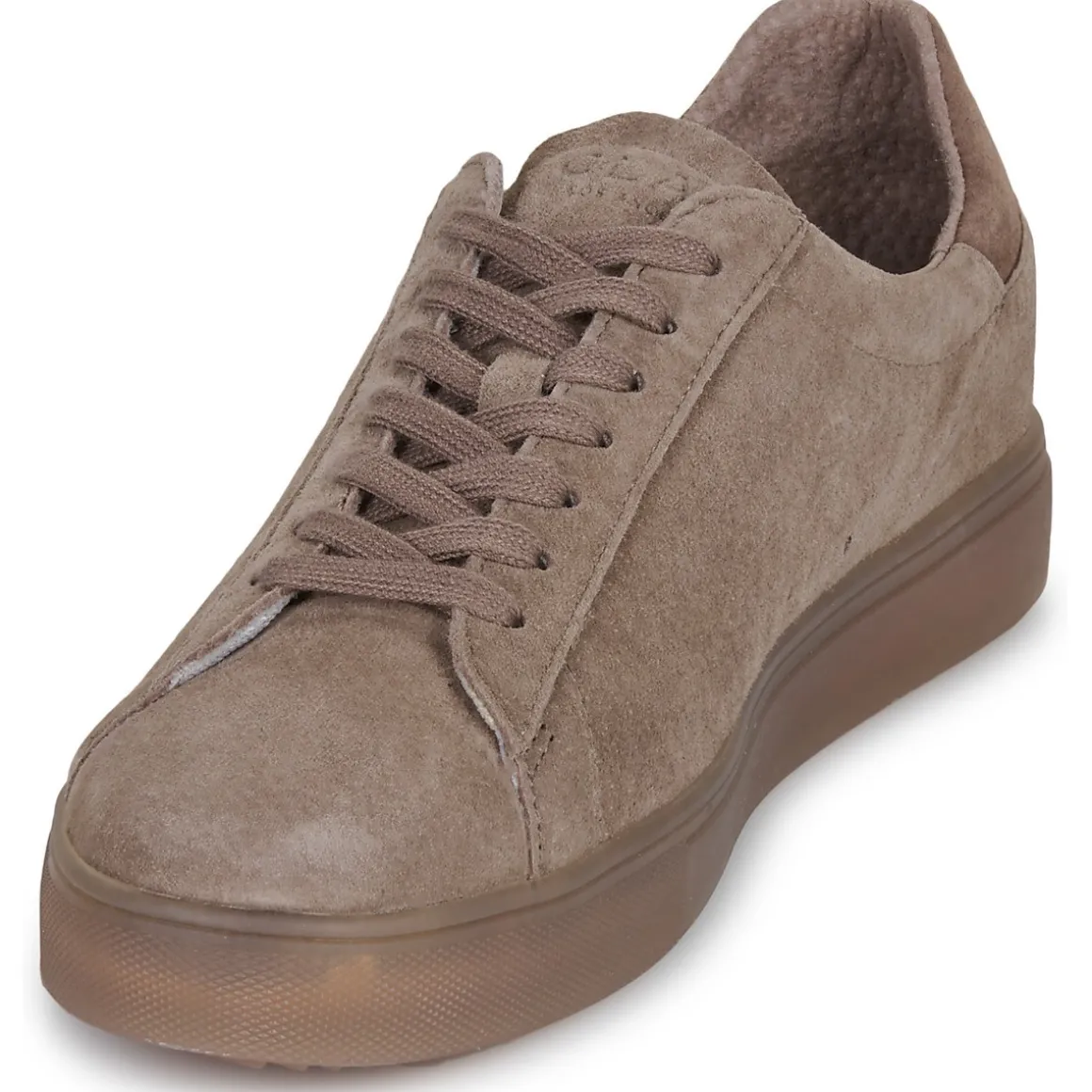 Clae BRADLEY