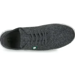 Dream in Green SOTIS