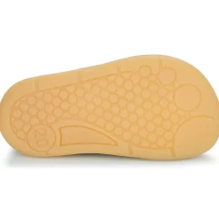 El Naturalista 5341