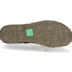 El Naturalista ANGKOR