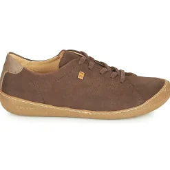 El Naturalista PAWIKAN N5770