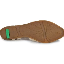 El Naturalista STELLA N5207
