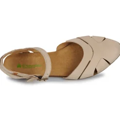 El Naturalista STELLA N5207