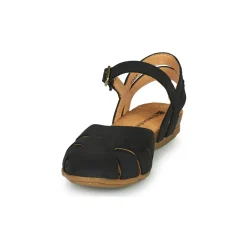 El Naturalista STELLA N5207