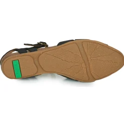 El Naturalista STELLA N5207