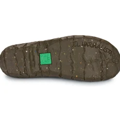 El Naturalista YGGDRASIL
