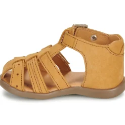 GBB CARIGO