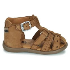 GBB CARIGO