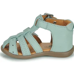 GBB CARIGO