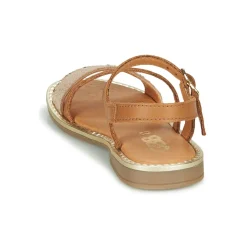 GBB FANA