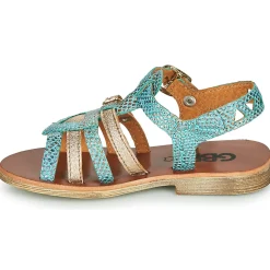 GBB FANNI