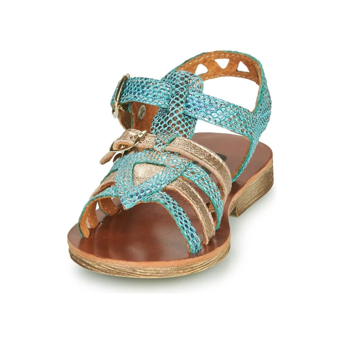 GBB FANNI