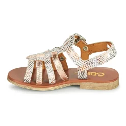 GBB FANNI