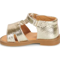GBB LORIE
