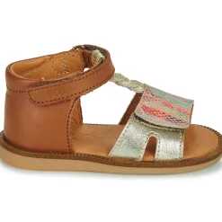 GBB LORIE