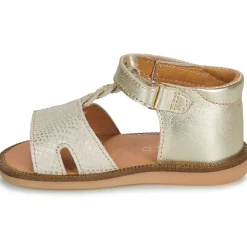 GBB LORIE