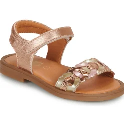 GBB PRUNELLE