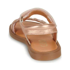 GBB PRUNELLE