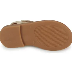 GBB PRUNELLE