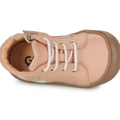 GBB REINETTE