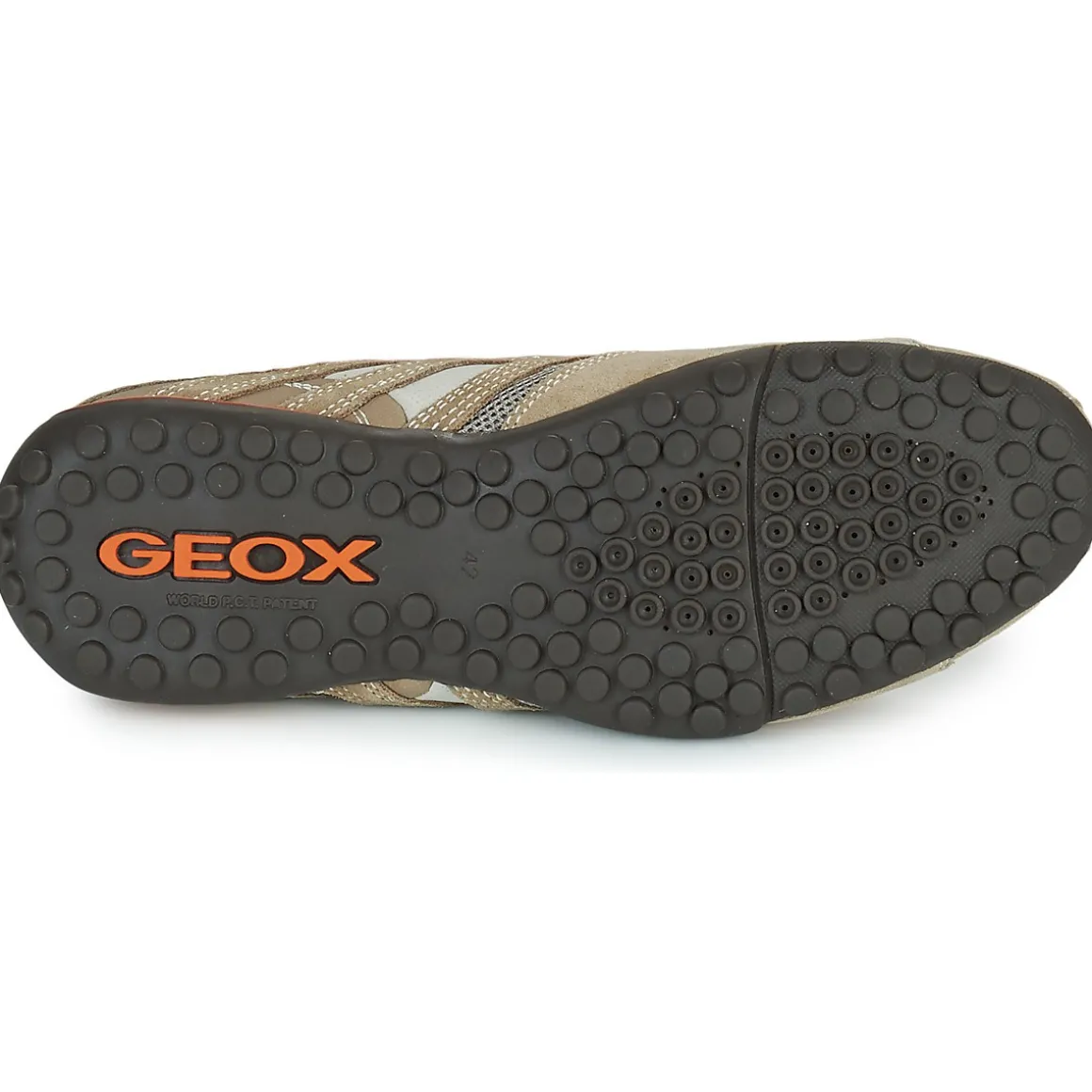 Geox SNAKE
