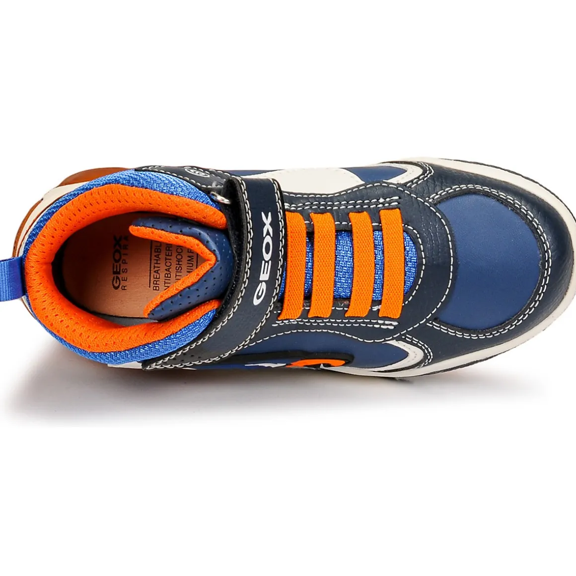 Høje sneakers Geox