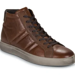 IgI&CO U.SACHA