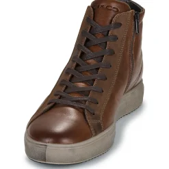 IgI&CO U.SACHA