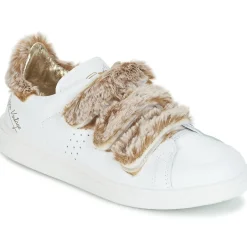 Ippon Vintage FLIGHT POLAR