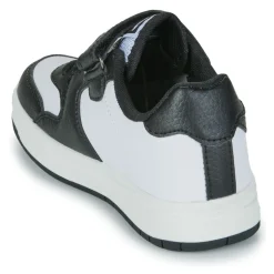Kangaroos K-CP Fair EV