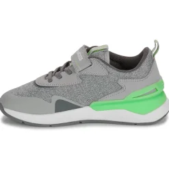 Kangaroos KD-GYM EV