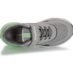 Kangaroos KD-GYM EV