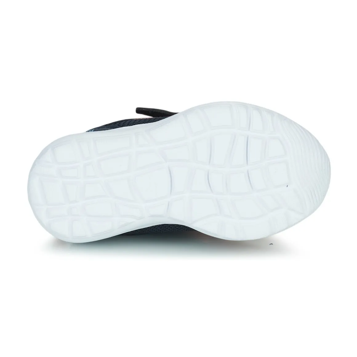 Kangaroos KY-Lilo EV