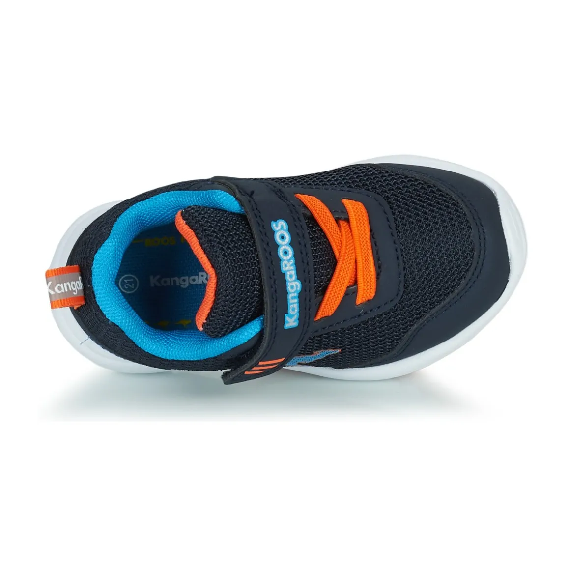 Kangaroos KY-Lilo EV